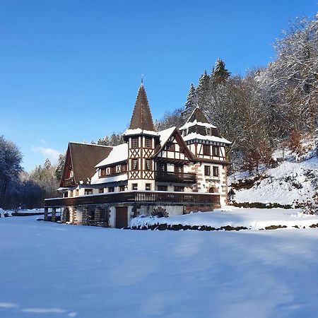 Le Saint Moulin De La Petite Pierre Villa Lohr Kültér fotó
