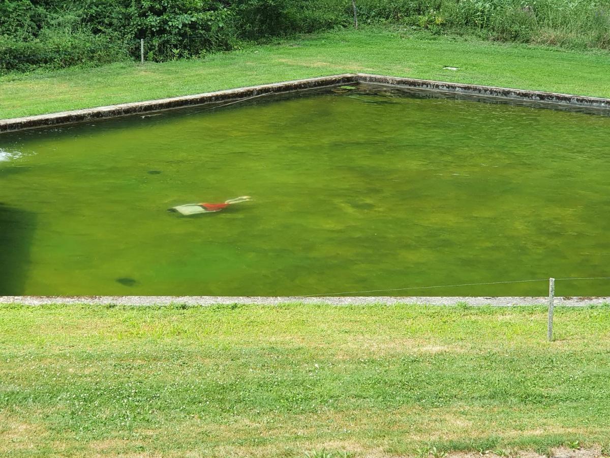Le Saint Moulin De La Petite Pierre Villa Lohr Kültér fotó