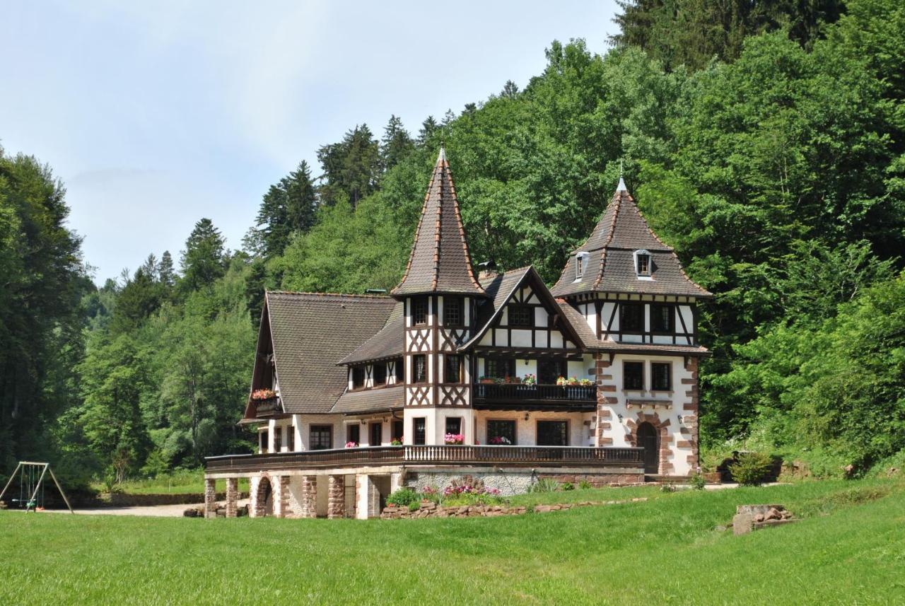Le Saint Moulin De La Petite Pierre Villa Lohr Kültér fotó