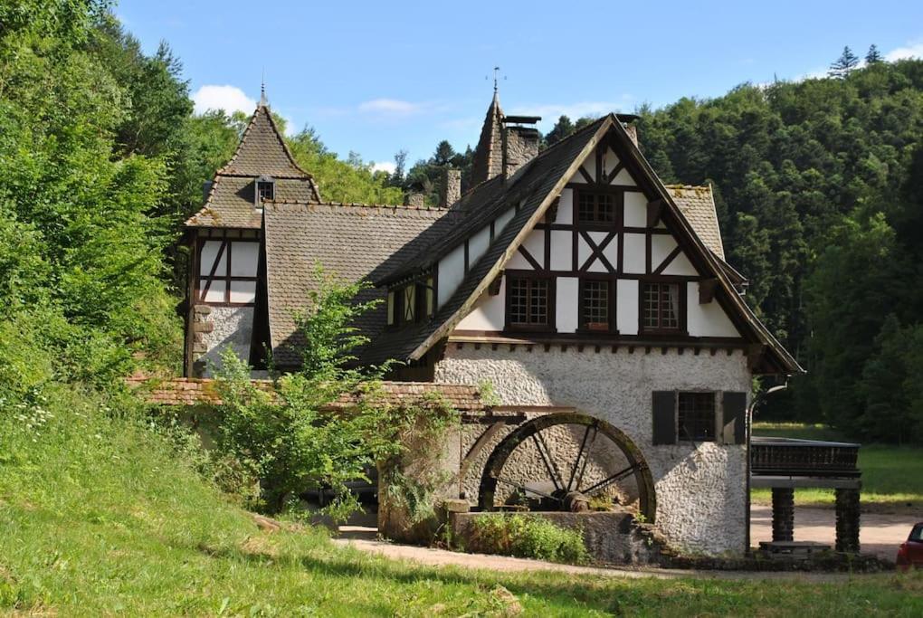 Le Saint Moulin De La Petite Pierre Villa Lohr Kültér fotó