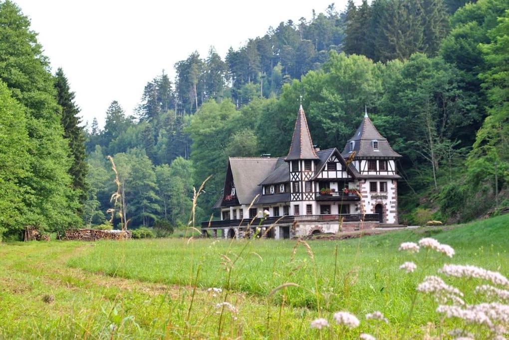 Le Saint Moulin De La Petite Pierre Villa Lohr Kültér fotó