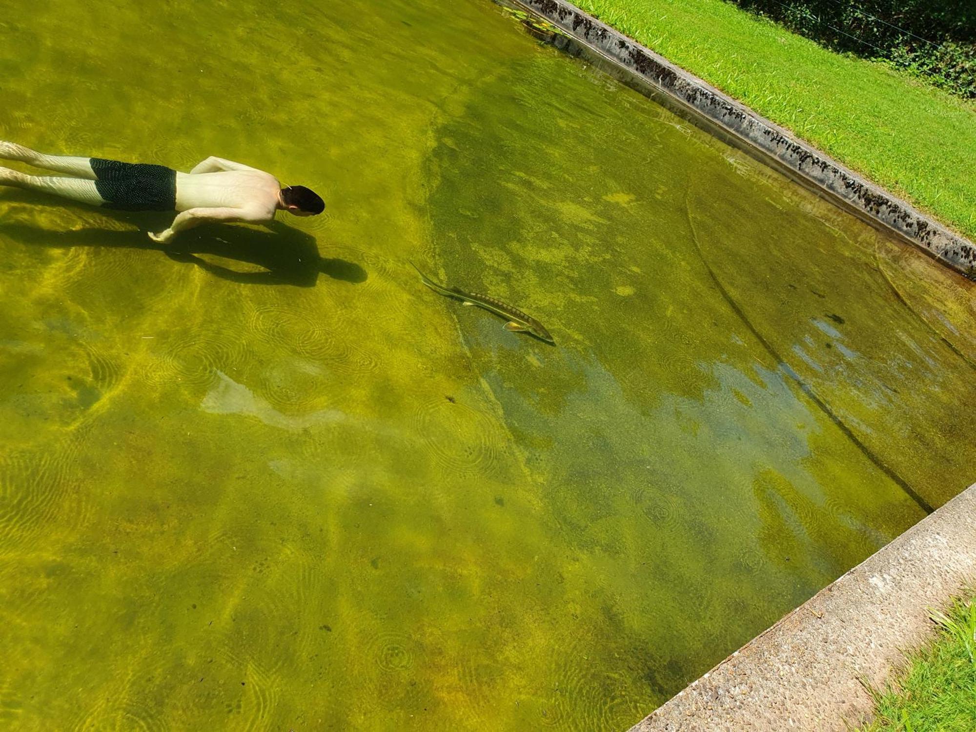 Le Saint Moulin De La Petite Pierre Villa Lohr Kültér fotó